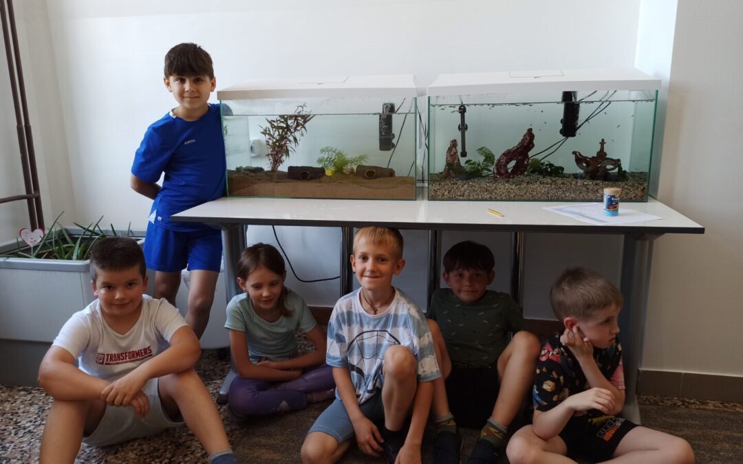 AXOLOTLI – novi stanari naše škole