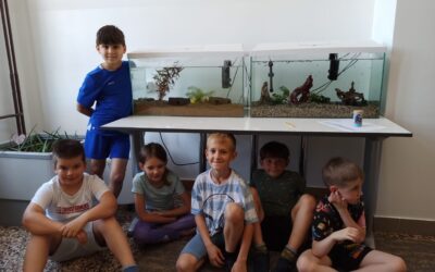 AXOLOTLI – novi stanari naše škole
